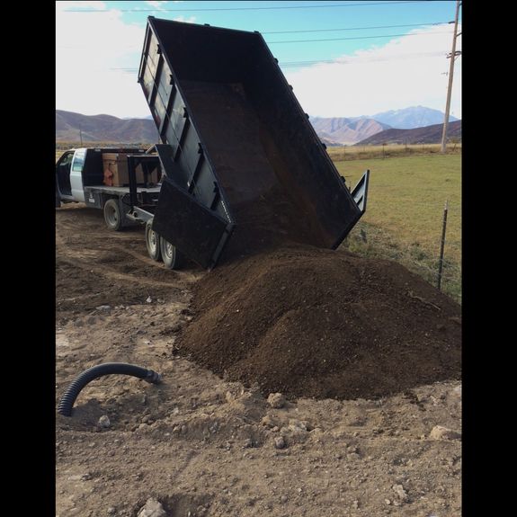 Is there a limit to how much junk I can have removed?