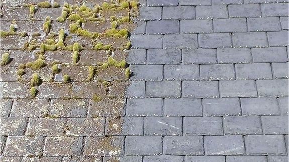 Banish Unwanted Greenery from Your Liverpool Property.