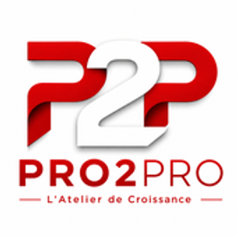 PRO2PRO logo