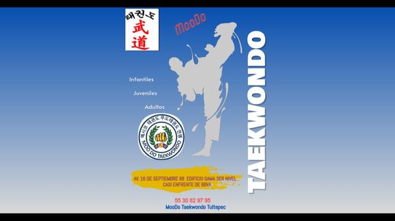Clases de Taekwondo Un Modo de Vida !!
