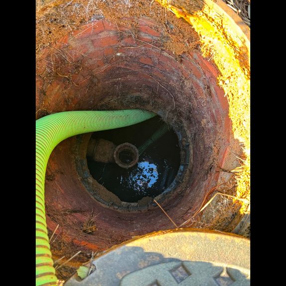 How often should I schedule grease trap pumping?