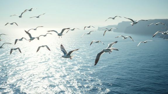 Your Trusted Partner for Professional Bookkeeping