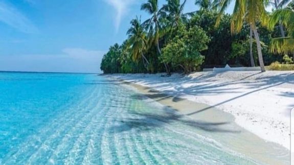 One business helping another business