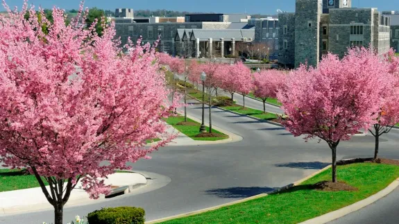 Breathe Easier with T&H Logistics in Roanoke!