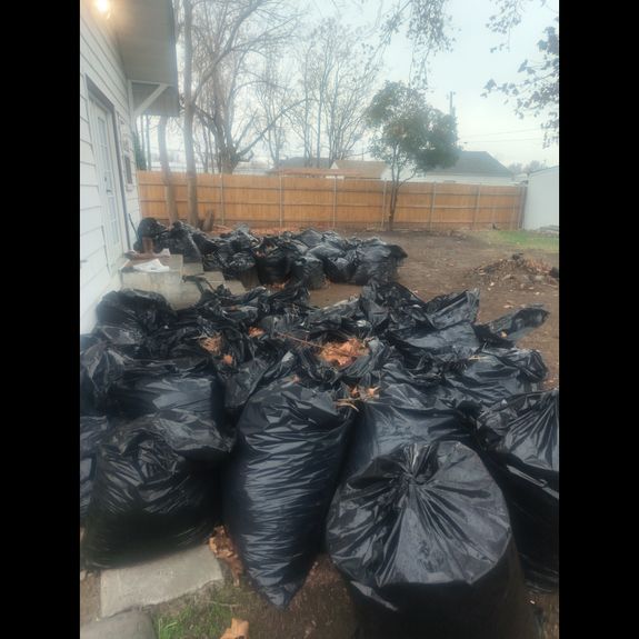 What types of items can you remove during a full clean out?