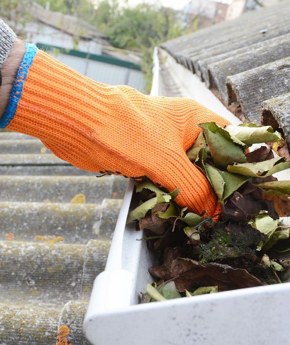 Gutter Cleaning