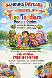 Tiny toddlers daycare LLC logo