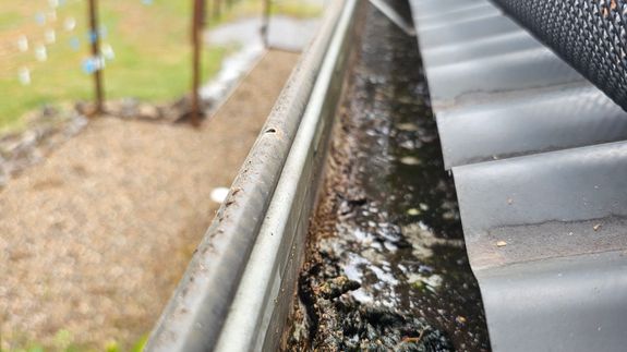 Clear gutters, clear mind in Gladstone.