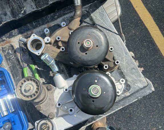 Expertise You Can Trust