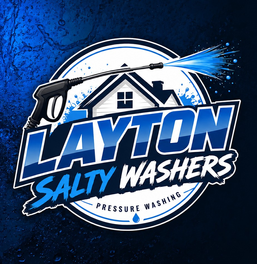 Layton Salty Washers logo