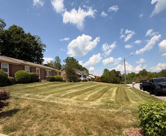 Transform Your Lawn with JBR Lawn Care
