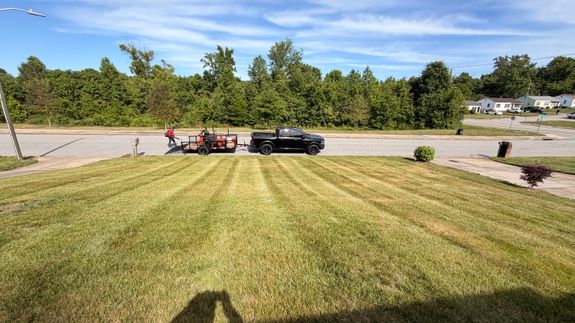 Transform Your Lawn from Sparse to Spectacular in Greensboro, NC