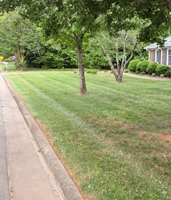 Revitalize Your Greens with JBR Lawn Care in Greensboro, NC