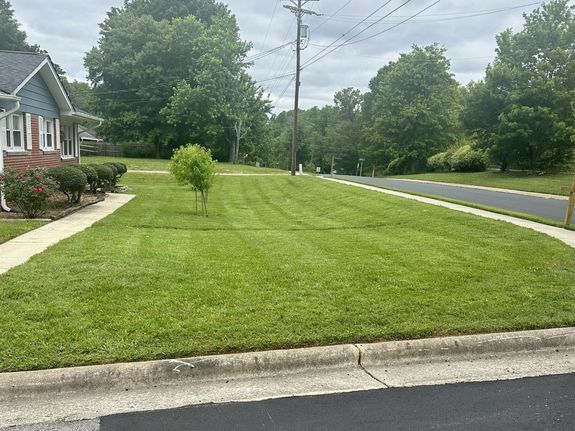 Transform Your Lawn with JBR Lawn Care