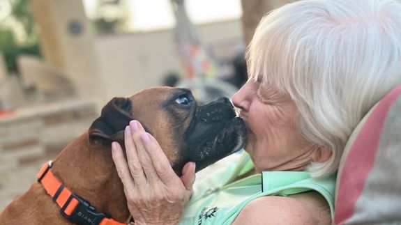 Give Your Pets the Care They Deserve in Las Vegas.