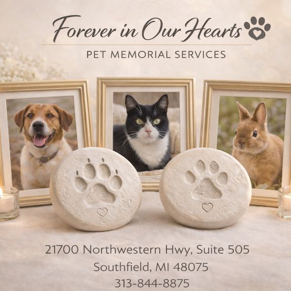 Forever In Our  Heart  Pet Memorial Services