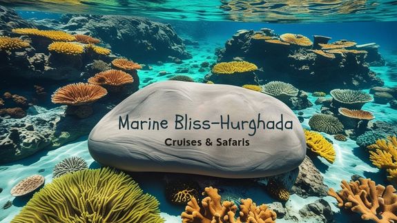 Discover the Beauty of the Red Sea with Marine Bliss - Hurghada