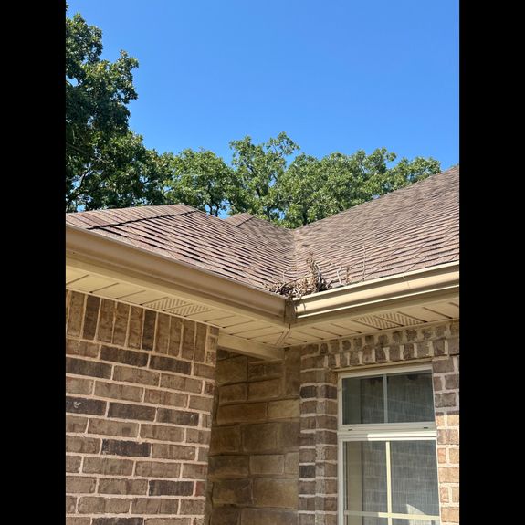 Gutter Cleaning