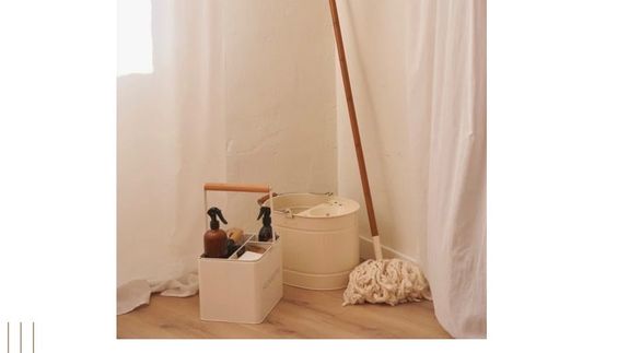 Make Your Move Stress-Free with Serene Mountain Cleaning.