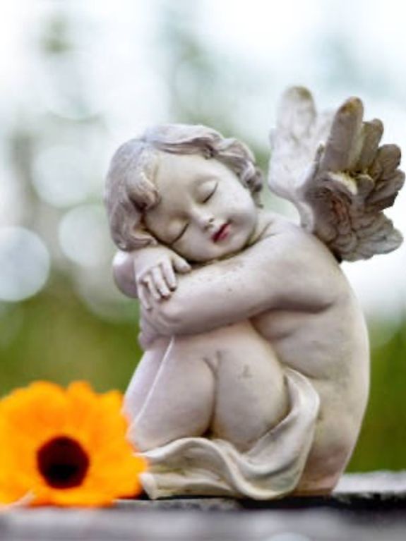 Bereavement and Loss Support Services