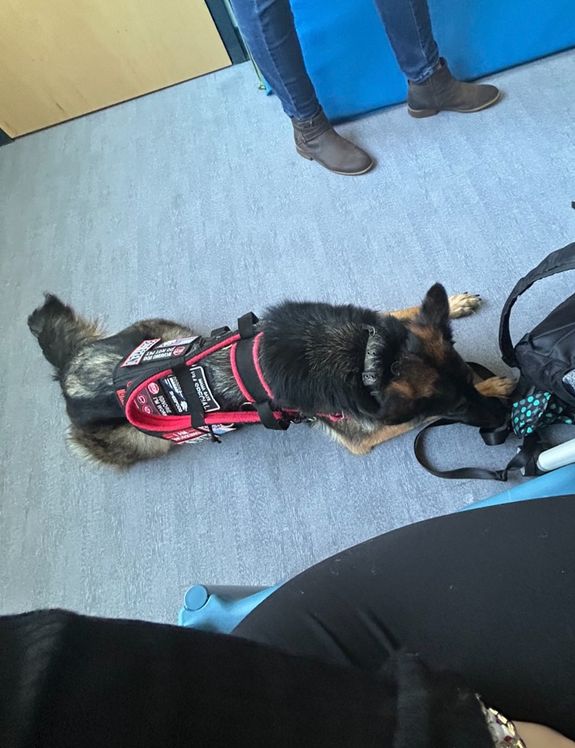 Personalized Training Plans