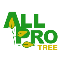 All Pro Tree logo
