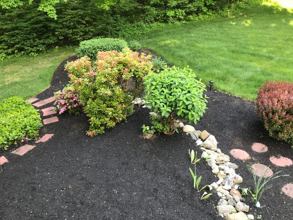 Hollyhock Plow & Garden Windham, NH