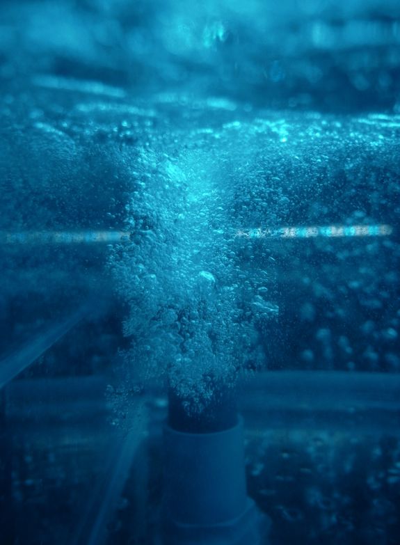 Do you provide emergency plumbing services?