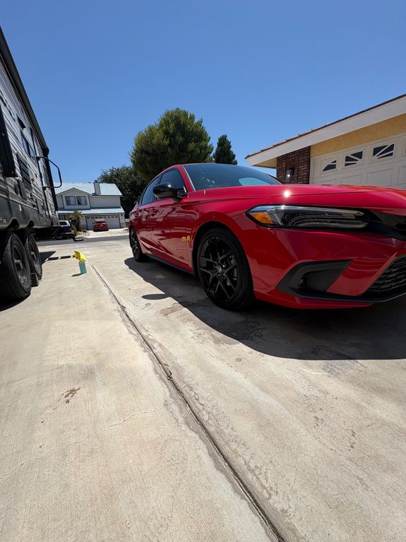 Expert Care by Professionals