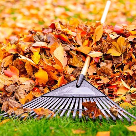 Are your services available year-round?