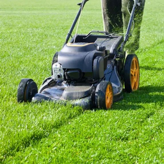 Grass Cutting