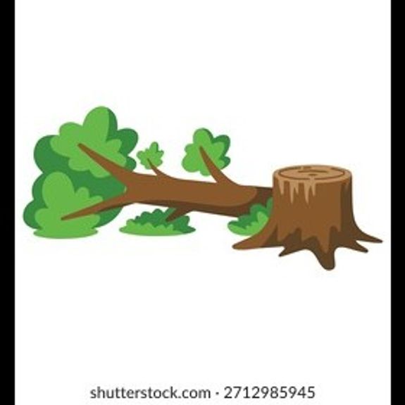 Can you remove large items like fallen trees?