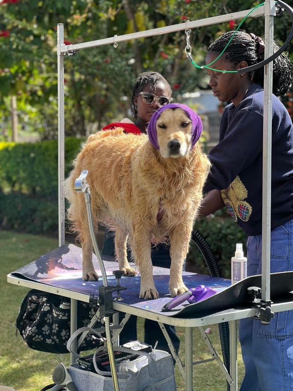 What services do you provide for dog grooming?