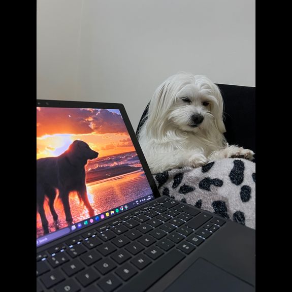 How do I book an appointment with Pawprint?
