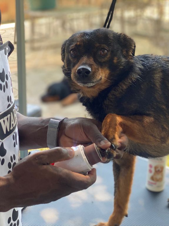 Nail Trimming