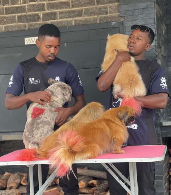 Professional and Experienced Groomers
