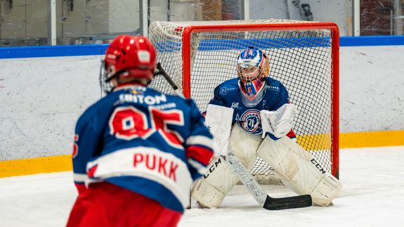 Back view of unrecognizable professional photographer taking photo of anonymous model in modern light studio