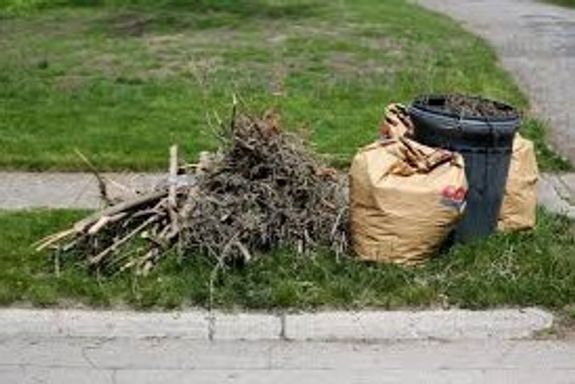 How quickly can you schedule my yard waste removal?