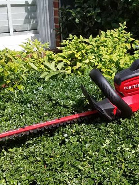 Community Focused Service