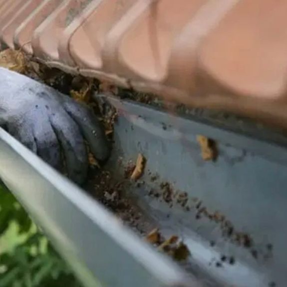 Gutter Cleaning Services