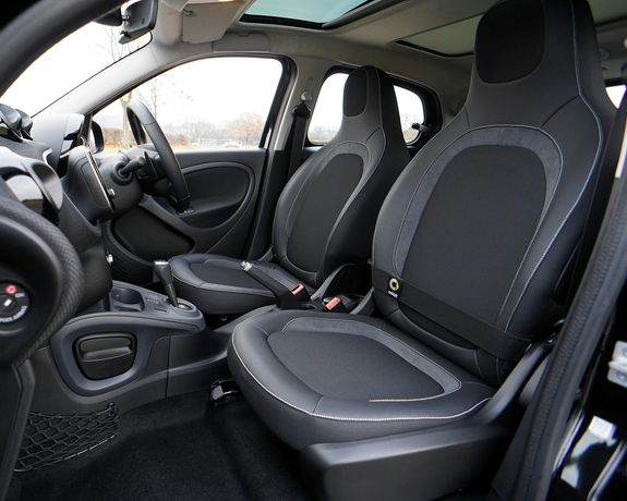 Mould treatment   $345