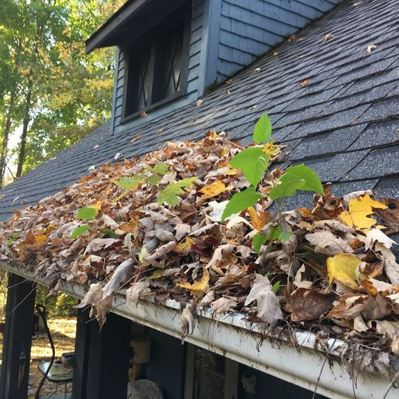 Gutter Cleaning