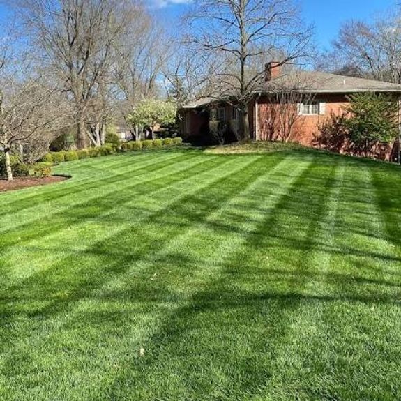 Lawn Care Services