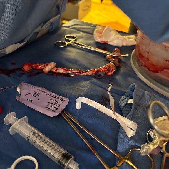 Empowerment Through Education 