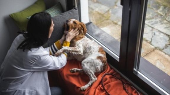 Déplacement à domicile 