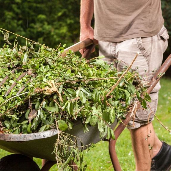 What are your prices for yard waste removal?