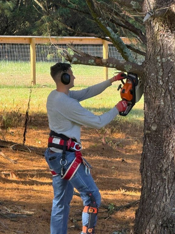 Tree Trimming