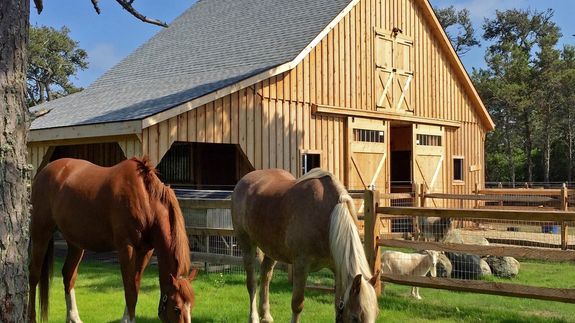 Unlocking Your Dream Home in San Antonio and the Hill Country