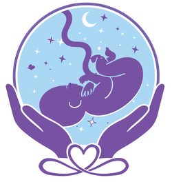 Happy Baby Journey logo