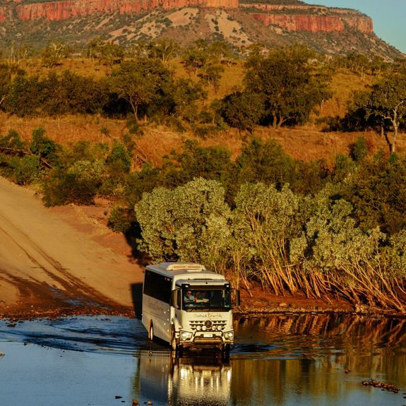 4WD Mercedes - Benz Coaches